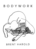 Bodywork cover